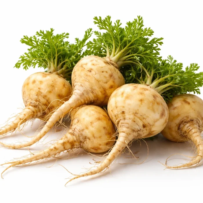 Maca ingrediënt