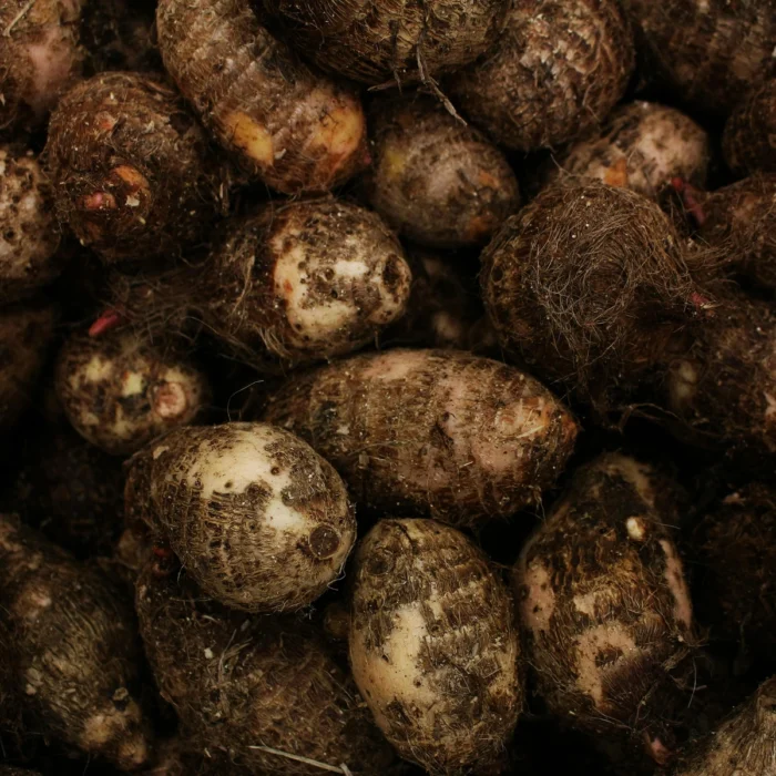 Wild Yam ingrediënt